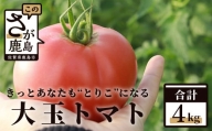 Ａ-159【予約受付中】 たにぐちファーム 大玉トマト 4kg Ricotomato とりこになるトマト