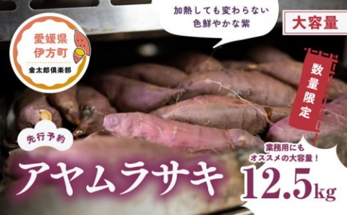 【先行予約】【数量限定】アヤムラサキ　生芋（12.5kg）| 芋 さつまいも サツマイモ スイートポテト※2022年12月上旬～2023年4月下旬頃に順次発送予定※着日指定不可 369441 - 愛媛県伊方町