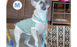 ワンちゃんが引っ張った時だけ首のサイズまで締まります。 【サイズ】Ｍ 犬種目安：ビーグル、柴犬、ボーダーコリー、フレンチブルドッグなどですが、レトリバーなどで体重22kg位までの小さめの子はLサイズよ