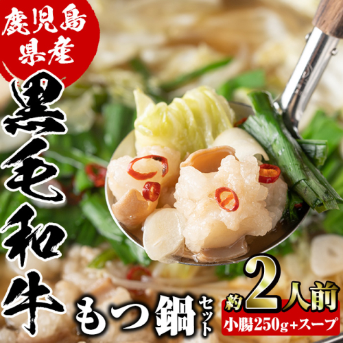 鹿児島県産黒毛和牛小腸使用！もつ鍋セット(約2人前分)国産 モツ モツ鍋 ホルモン 牛肉 出汁 醤油ベース 惣菜 おかず【和食処まきや】akn065-01 369793 - 鹿児島県阿久根市