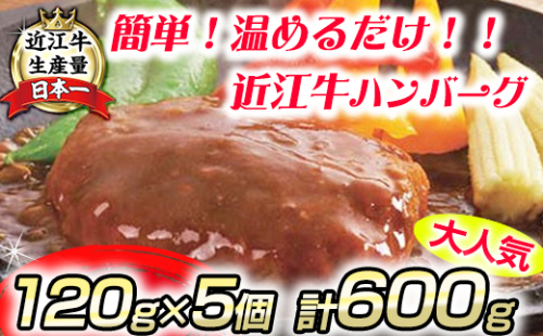 【総本家肉のあさの】近江牛ハンバーグ【600ｇ（120ｇ×5個）】【AE14W】 370231 - 滋賀県近江八幡市