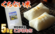 [ 令和7年産 新米 ]くちない米( こがねもち 白米 )5kg もち米 餅米 おもち お正月 東北のお米 産直 産地直送 岩手県北上市