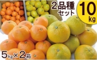 柑橘詰合せセット みかん 2種類（5キロ×2箱）10キロ