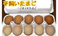 ごほうびたまご / 卵 生卵 タマゴ 新鮮 愛知県
