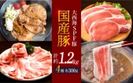 【訳あり】【万能スライス】大西海SPF豚 国産豚 豚肉4種類 1.2kgセット 【大西海ファーム食肉加工センター】 [CEK162]