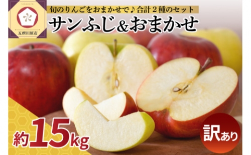 【選べる配送時期】 【訳あり】 りんご 15kg 詰め合わせ 計2種(サンふじ と 他1種) 不揃い フルーツ