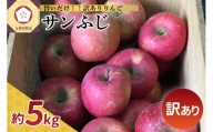 【選べる配送時期】 【訳あり】 りんご サンふじ 5kg 青森