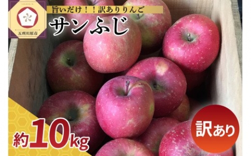 【選べる配送時期】 【訳あり】 りんご サンふじ 10kg 青森