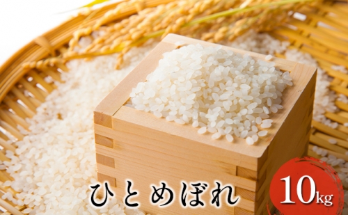 【先行予約】令和4年産 ひとめぼれ 10kg 371483 - 宮城県大郷町