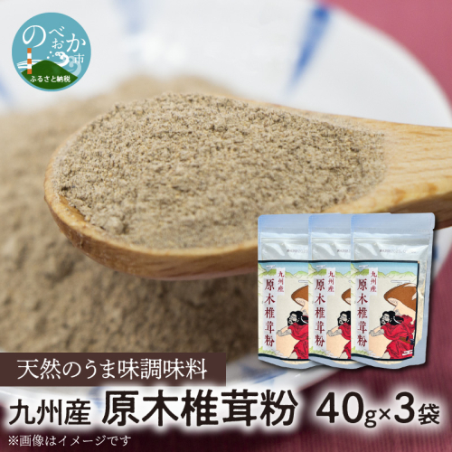 天然のうま味調味料「九州産原木椎茸粉」40g×3袋 N0155-YA0457 371490 - 宮崎県延岡市