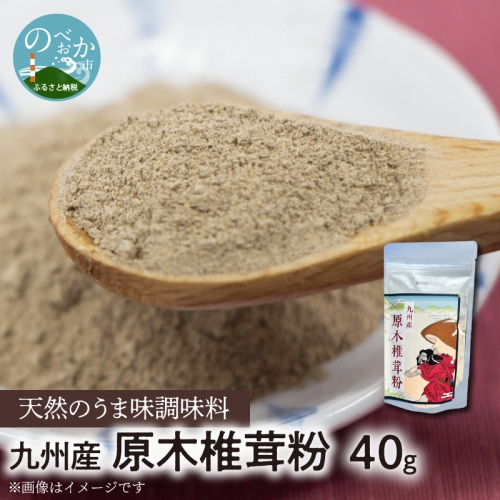 天然 うま味調味料 九州産 原木椎茸 粉 40g　A0190