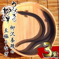 b0-118 熟練の技が冴える！うなぎの柳澤 鰻蒲焼き3尾(計480g)