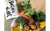 KBE-12 【栽培期間農薬不使用】お米と季節の野菜（4～5品）のセット 6ヶ月定期便