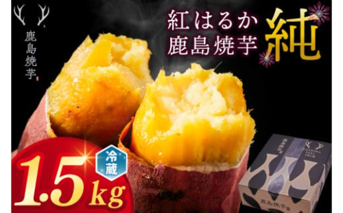 【人気返礼品】鹿島焼芋 純 1.5kg【冷蔵 ひやし 焼き芋 やきいも さつまいも 芋 お菓子 おやつ デザート スイーツ 和菓子 和スイーツ 鹿嶋市 茨城県】（KBK-8-1）