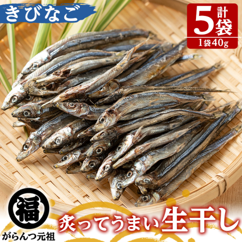 鹿児島県阿久根市産生干し「きびなご」(計5袋・1袋40g)国産 魚介 干物 ひもの キビナゴ がらんつ干物【マルフク川畑水産】akn029-04 372353 - 鹿児島県阿久根市