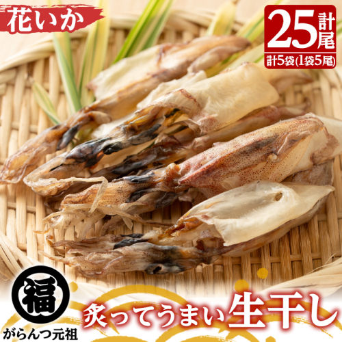 鹿児島県阿久根市産生干し「花いか」(計25尾・5尾×5袋)国産 魚介 干物 ひもの イカ 烏賊 がらんつ干物【マルフク川畑水産】akn029-06 372355 - 鹿児島県阿久根市