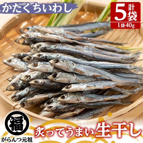 鹿児島県阿久根市産生干し「かたくちいわし」(計5袋・1袋40g)国産 魚介 干物 イワシ 鰯 がらんつ干物【マルフク川畑水産】akn029-08 372358 - 鹿児島県阿久根市