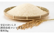 安定の美味しさ　鉾田市産コシヒカリ　精米5kg