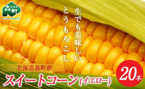 【先行予約】【数量限定】北海道森町産スイートコーン（イエロー）20本（2026年7月上旬～9月中旬頃に順次お届け） とうもろこし トウモロコシ とうきび トウキビ 野菜 やさい 北海道 たっぷり 甘い 期間限定 ふるさと納税 森町 mr1-0146 373159 - 北海道森町