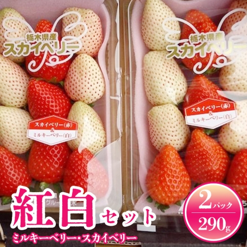 売り切れ いちご 紅白セット ミルキーベリー スカイベリー いちご 苺 イチゴ とちあいか とちおとめ 23年1月下旬 5月下旬頃に順次発送予定 栃木県さくら市 Au Pay ふるさと納税