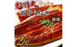 有限会社はしもと製造では一番大きなサイズのうなぎ蒲焼で重量は１尾あたり220〜250ｇと食べ応え満点、2人前でも十分な大きさです。大きく肉厚な鰻ですが、皮まで柔らかく脂の乗りも申し分のない国内のブラン