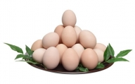 【宮崎小林・地鶏の里】飛来幸鶏の卵かけご飯セット「黙って食べて魅卵ね」