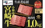 【生産者支援】A４等級以上小林市産宮崎牛おためし焼肉　1.0kg