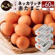 ＜児湯養鶏自慢の卵＞ネッカリッチ赤たまご「児湯一番」3箱60個【B23】
