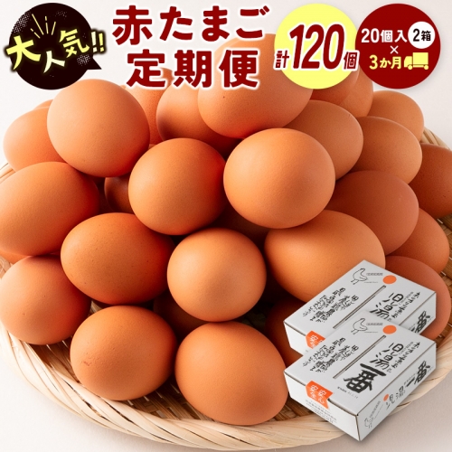 ＜児湯養鶏自慢の卵＞計120個 （40個×3回） 3ヶ月定期便【C55】 37459 - 宮崎県新富町