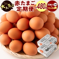 ＜児湯養鶏自慢の卵＞計480個（40個×12回） 12ヶ月定期便【E19】