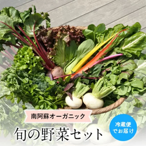 南阿蘇オーガニック 旬の野菜セット10種類以上詰め合わせ《30日以内に出荷予定(土日祝除く)》熊本県 南阿蘇村 野菜 カブ ビーツ サニーレタス クレソン ブロッコリー 水前寺菜 ほうれん草２種 チンゲン菜 春菊 スイスチャード 375200 - 熊本県南阿蘇村