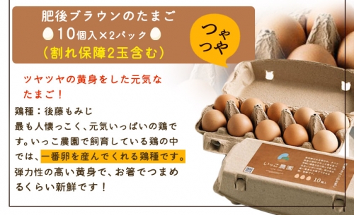 平飼いニワトリの食べ比べ卵セット 計30個(割れ保障3玉含む) 熊本県南