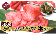 特製ねぎ塩だれ『牛タン』500g ( 250g×2パック) 小分け｜味付き 焼き 肉 冷凍 便利 使い切りサイズ 岩手 いわて iwate 岩手県大槌町