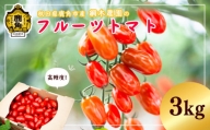 秋田県 鹿角市産ミニトマト「スナックトマト」約2kg【綱木農園】