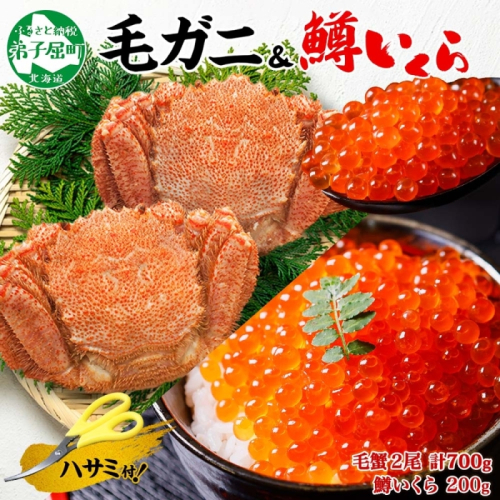 3436. 毛蟹 2尾 計700g前後 鱒いくら醤油漬け 200g 専用ハサミ・食べ方ガイド付き 毛ガニ 毛がに 蟹 カニ  鱒いくら いくら 醤油漬け ボイル 北海道 弟子屈町 376208 - 北海道弟子屈町