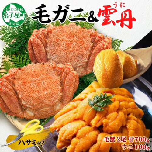3418. 毛蟹 2尾 計700g前後 うに チリ産 冷凍 100g 専用ハサミ・食べ方ガイド付き 毛ガニ 毛がに 蟹 カニ かに 蟹肉 カニ味噌 ウニ 雲丹 海鮮 ボイル 北海道 弟子屈町
 376210 - 北海道弟子屈町