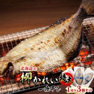 北海道産 特大 柳かれい 一夜干し 1尾×3個セット | おつまみ 焼魚 焼き魚 定食 魚 干物 セット ひもの 冷凍 人気の 訳あり！