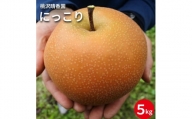 【桃沢晴香園】 にっこり（梨　5kg）（5～6玉）