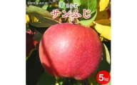 【南信州あじさい農園】葉とらずりんご（サンふじ5kg）