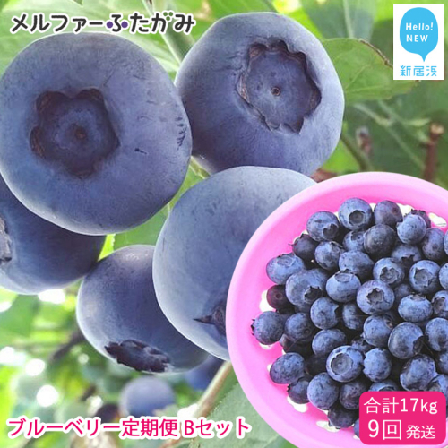 【定期便】 ブルーベリー三昧 Bセット（約17kg／9回発送） 完熟生ブルーベリー（8月中旬以降は冷凍ブルーベリー） エコえひめ認証 37690 - 愛媛県新居浜市