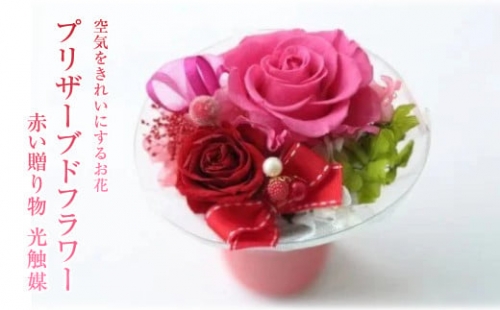 【空気をきれいにするお花】プリザーブドフラワー　赤い贈り物 　光触媒