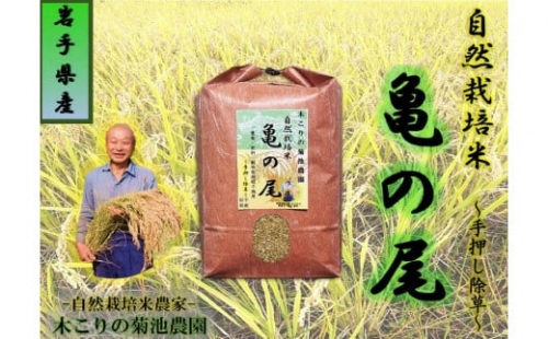 木こりの菊池農園　自然栽培米【亀の尾】白米5kg 