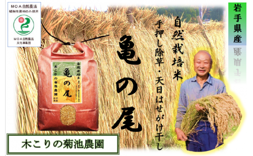 木こりの菊池農園　自然栽培米【亀の尾】白米5kg 