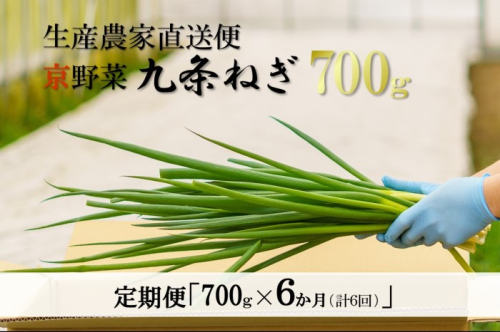 【6か月定期便】生産農家直送 京野菜・九条ねぎ1kg〈定期便 ねぎ ネギ 葱 九条ねぎ 京野菜 京都 新鮮 甘い 農家直送 野菜〉 378465 - 京都府宇治田原町