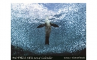 2023年  高橋怜子  海の絶景 カレンダー　ナショナル ジオグラフィック写真コンテスト 総合グランプリ受賞