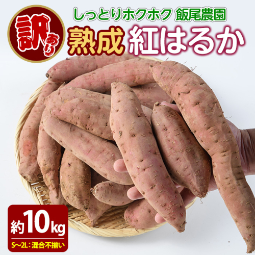 《 訳あり 》飯尾農園 紅はるか  約10kg 芋 いも さつまいも サツマイモ 鹿児島県産 国産 長島町産 べにはるか 熟成【飯尾農園】miio-7232 378528 - 鹿児島県長島町