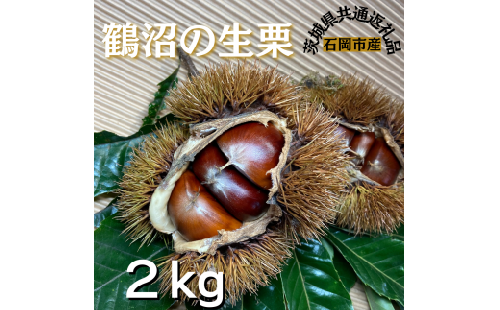 石岡鶴沼の 生栗　2kg（茨城県共通返礼品・石岡市産）