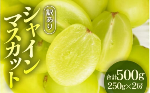 【先行予約】【訳あり】シャインマスカット 約250g×2房 【2025年8月中旬以降順次発送予定】[A-3229]
