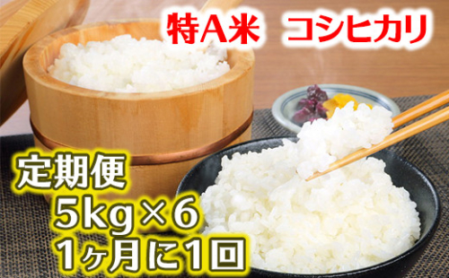 「コシヒカリ」　白米定期便　６か月で５kgを６回お届け（１か月に1回）【C041U】 379131 - 滋賀県近江八幡市