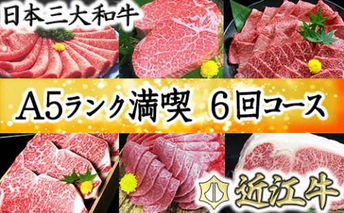 げんさんの近江牛満喫コース　12ヶ月で全6回お届け（2カ月に1回）【DG13W】 380141 - 滋賀県近江八幡市